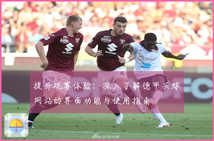 提升观赛体验：深入了解德甲买球网站的界面功能与使用指南
