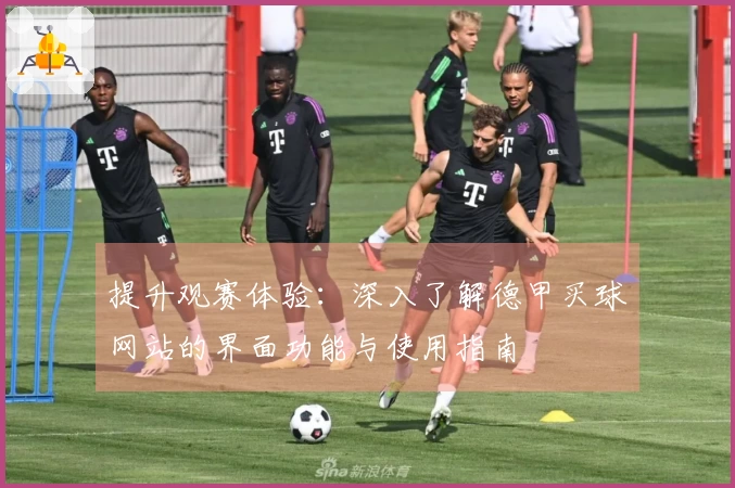 提升观赛体验：深入了解德甲买球网站的界面功能与使用指南