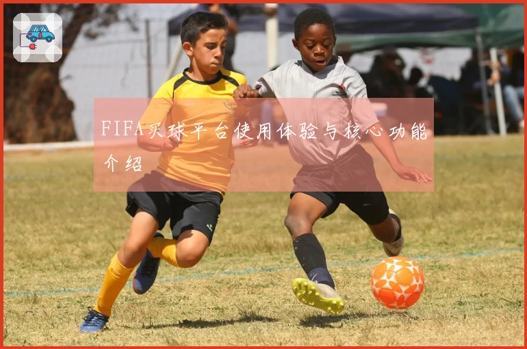 FIFA买球平台使用体验与核心功能介绍