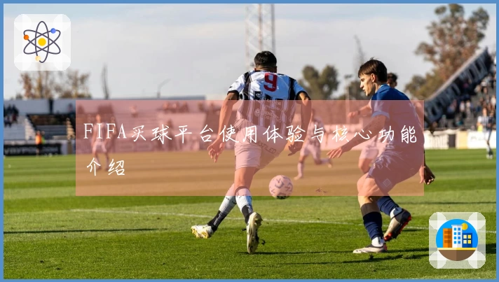 FIFA买球平台使用体验与核心功能介绍